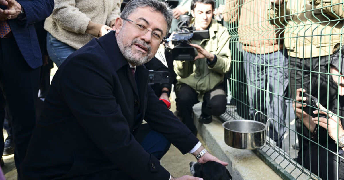 Bakan Yumaklı, “Zeytin” adı verilen köpeği sahiplendi
